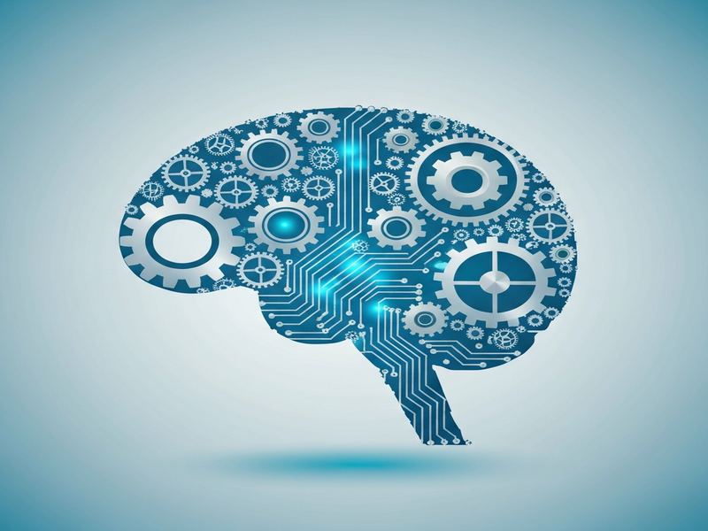 Illustration of cognitive framework